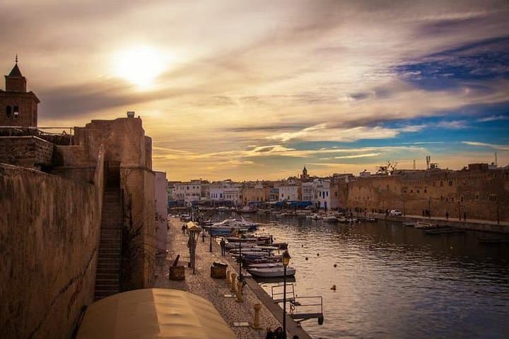 North Tunisia Bird-Watching Day Tour: Ichkeul, Utica & Bizerte from Tunis