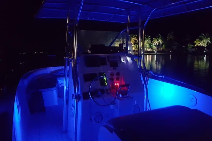 Night Bioluminescence Snorkel Tour in Grand Cayman: See the Ocean Glow photo 3