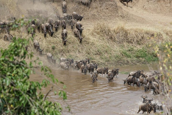 7-Day Mara River Migration Safari: Northern Serengeti & Ngorongoro photo 1
