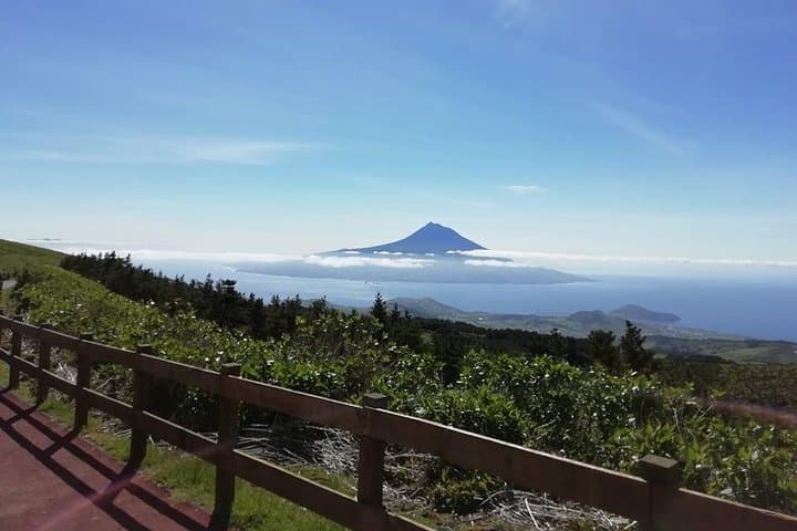 Faial Island Half-Day Tour — Caldeira, Capelinhos & Horta Views photo 6