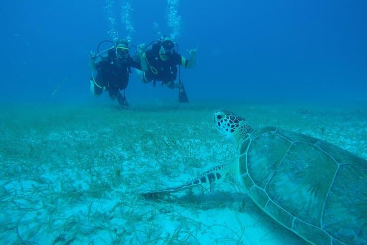 2-Tank Discover Scuba Diving in Fajardo, Puerto Rico photo 2