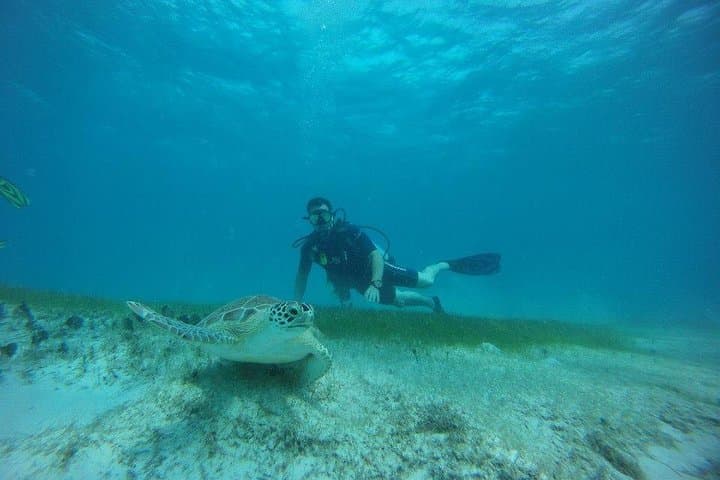 2-Tank Discover Scuba Diving in Fajardo, Puerto Rico photo 4
