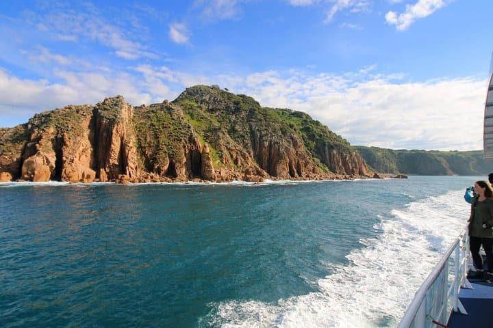 Dolphin and Whale Cruise — Phillip Island Cape Woolamai Marine Wildlife Tour photo 5