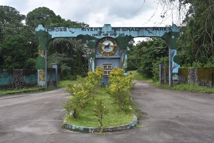 Cross River National Park Jungle Safari: 4-Day Wildlife Adventure Near Calabar