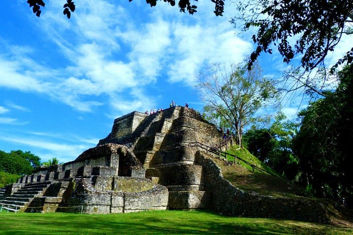 Private Altun Ha Maya Ruins Tour from Belize City — Half-Day Guided Visit photo 2
