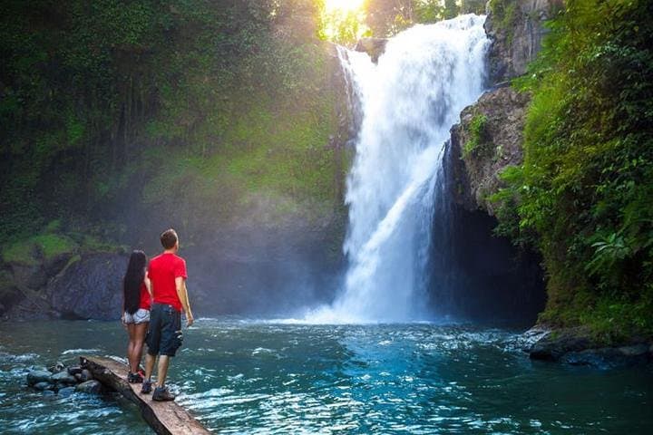 Ubud Day Tour: Campuhan Ridge, Goa Gajah & Tegenungan Waterfall with Lunch