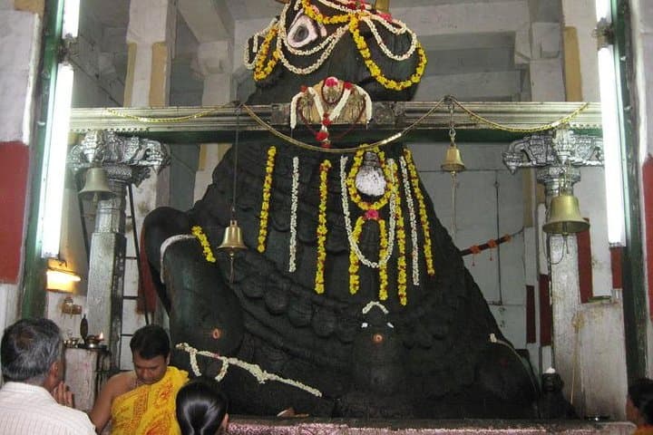 Full-day private sightseeing tour of Bangalore: ISKCON, Lalbagh & Tipu's Palace photo 4
