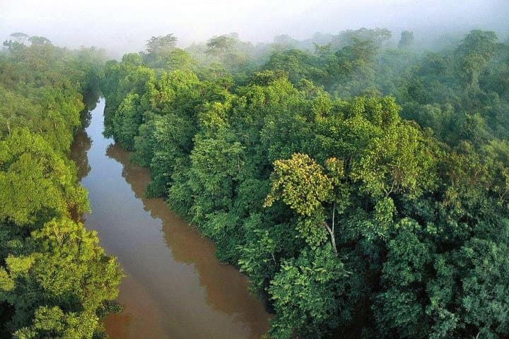 Sky-Mirror Sunset Cruise: Proboscis Monkeys, Mangroves & Fireflies near Kota Kinabalu photo 3