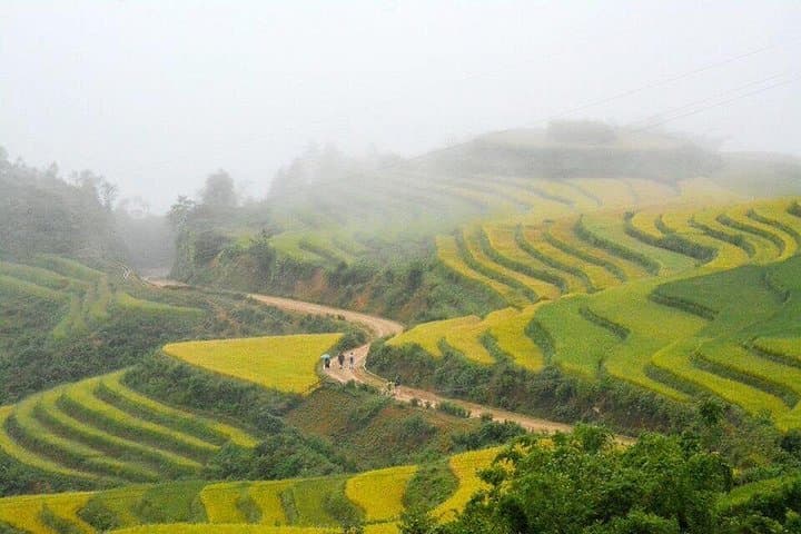 Northern Vietnam 8-Day Highlights: Hanoi, Sapa & Ha Long Bay Adventure photo 4