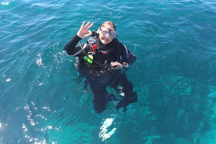 Rottnest Island Day Dives: Guided Scuba from Fremantle for Certified Divers photo 2