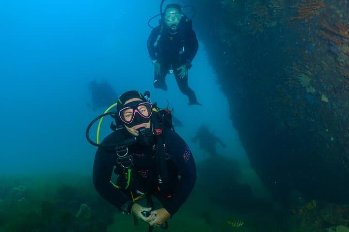 Rottnest Island Day Dives: Guided Scuba from Fremantle for Certified Divers photo 1