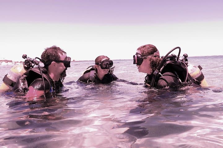 Rottnest Island Day Dives: Guided Scuba from Fremantle for Certified Divers photo 3