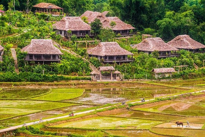 3-Day Trekking in Pu Luong & Mai Chau: Homestay Trek Through Rice Terraces