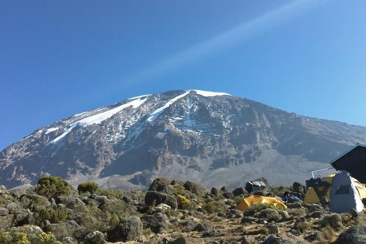 Mount Kilimanjaro Day Hike: Marangu Gate to Mandara Hut Sneak Peek