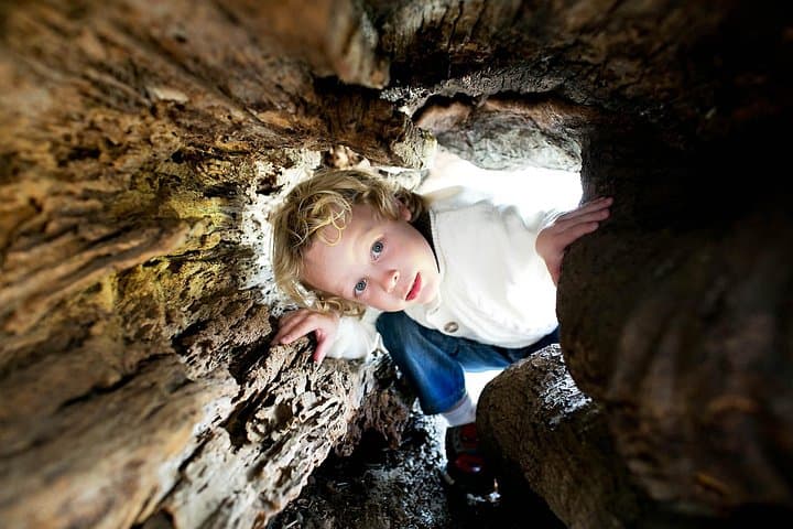 San Bernardino Vacation Photographer: Private 30-Minute Photo Session & Local Guide photo 4