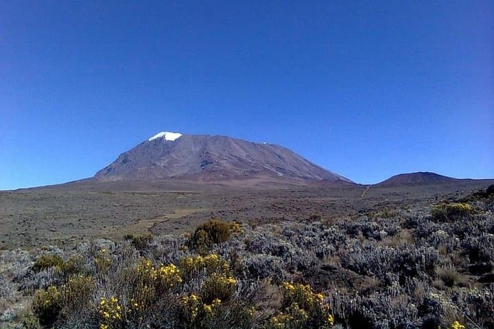 Mount Kilimanjaro Day Hike: Marangu Gate to Mandara Hut Sneak Peek photo 6