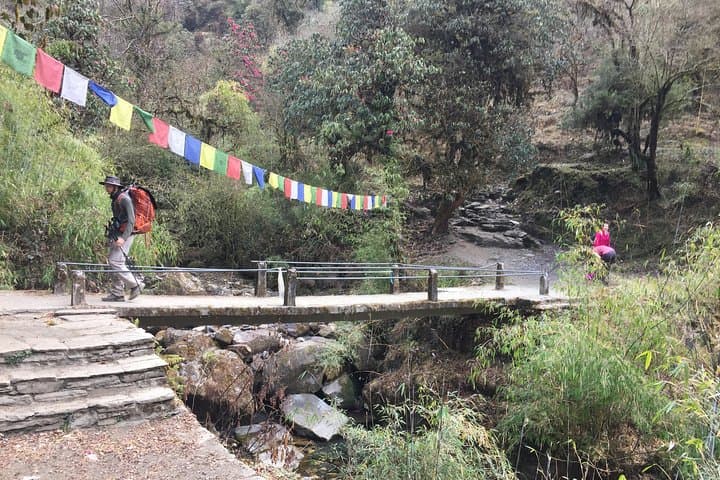 Annapurna Panorama: 8-Day Poon Hill Trek from Pokhara photo 4