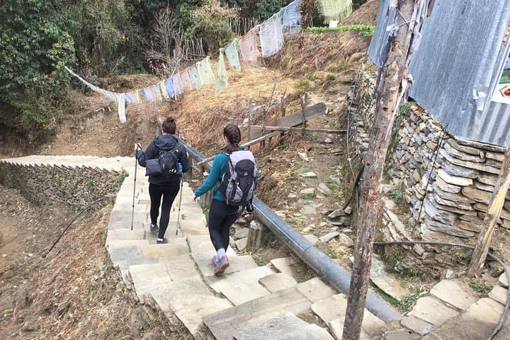 Annapurna Panorama: 8-Day Poon Hill Trek from Pokhara photo 5