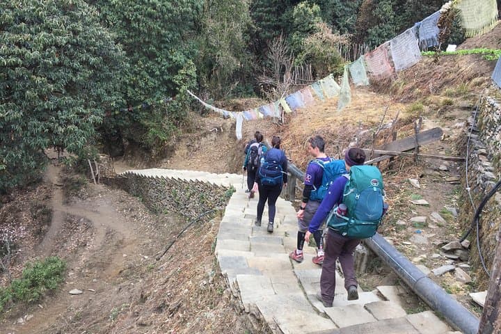 Annapurna Panorama: 8-Day Poon Hill Trek from Pokhara photo 6