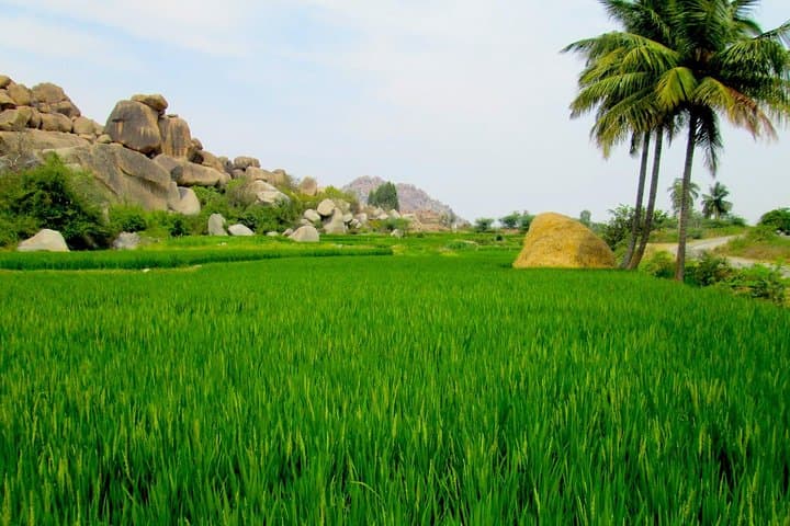 Royal Enfield Motorcycle Tour from Bangalore to Hampi & Badami — 8-Day Cultural Ride photo 5