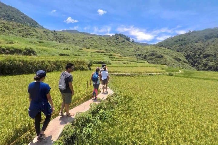 Banaue & Batad 3-Day UNESCO Rice Terraces Tour: Batad Amphitheater & Tappiya Falls photo 6