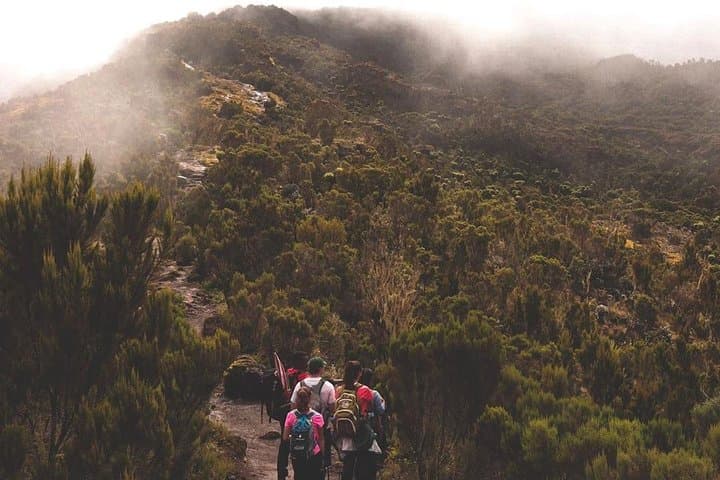 6-Day Marangu Route Kilimanjaro: Hut Trekking, Summit Night & Practical Guide photo 5