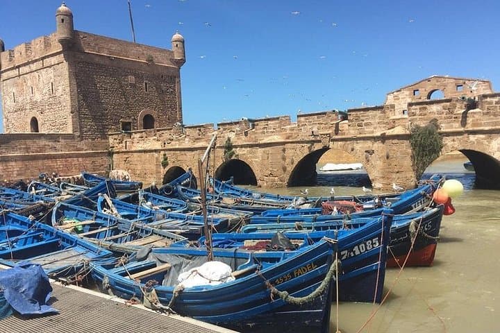 Day Trip to Essaouira from Marrakech: Coastal Medina, Argan Forest & Fresh Seafood photo 1