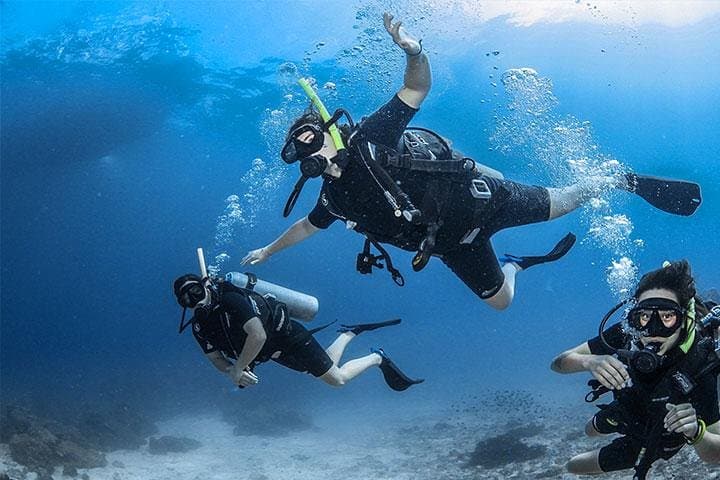 Discover the Mesoamerican Reef: Non-Certified Dive with Hotel Pickup in Roatán photo 3