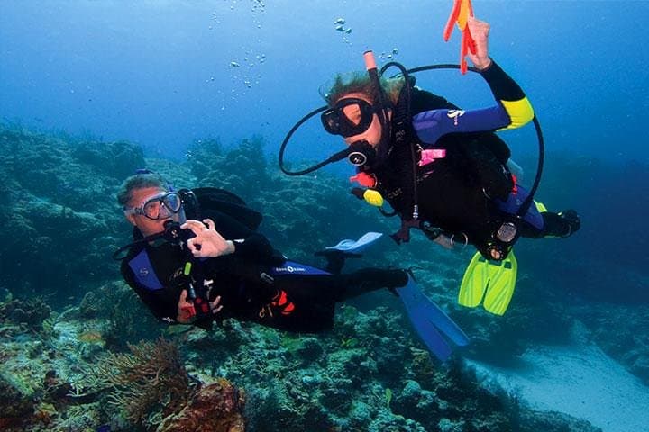 Discover the Mesoamerican Reef: Non-Certified Dive with Hotel Pickup in Roatán photo 4