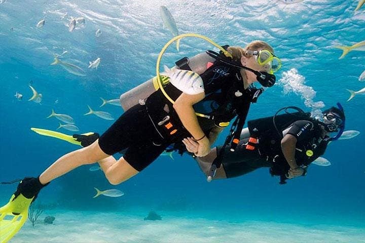 Discover the Mesoamerican Reef: Non-Certified Dive with Hotel Pickup in Roatán photo 6