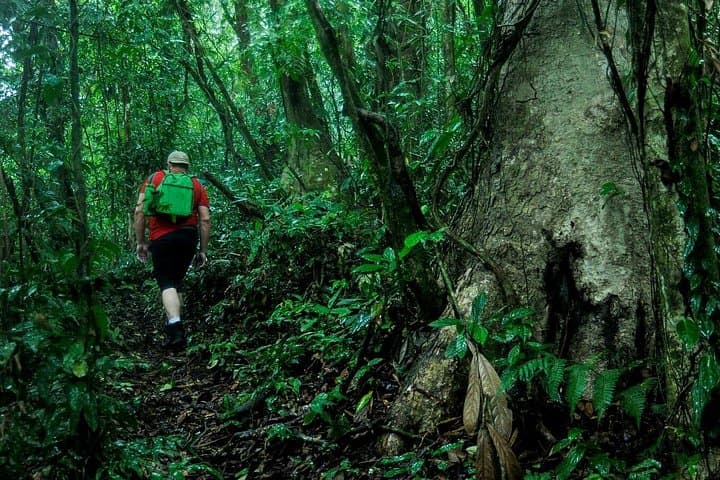 La Fortuna to Monteverde: 2-Day Extreme Hike Through Jungle Rivers and Cloud Forest Cabin photo 3