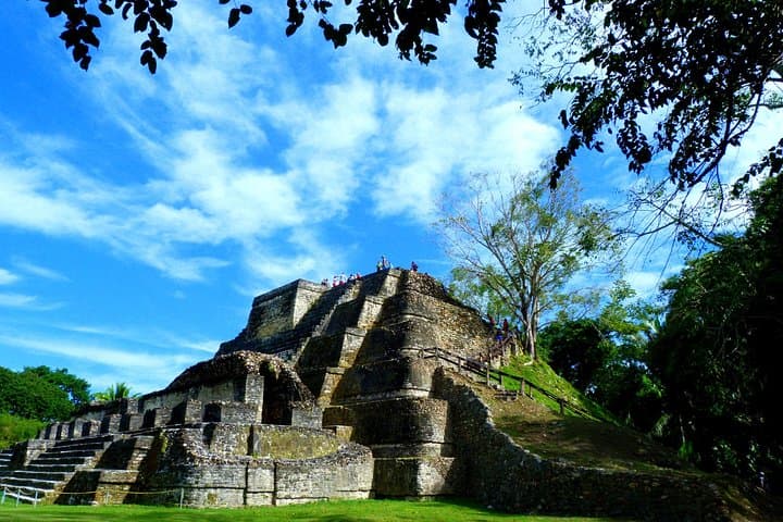Altun Ha & Howler Monkey Adventure: Private Day Trip from Belize City photo 3