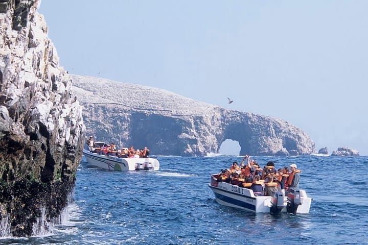 Swim with Sea Lions off Callao: Half-Day Boat Trip from Lima photo 2