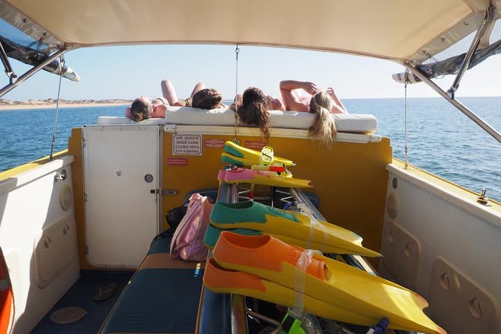 Ningaloo Reef Full-Day Snorkel and Wildlife Adventure from Exmouth photo 5