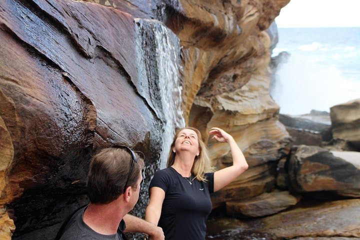 Royal National Park Private Tour — Wedding Cake Rock, Wattamolla & Wildlife photo 3