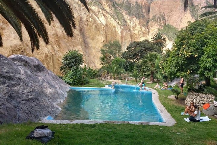 Colca Canyon 2-Day Trek: Condors, Oasis & Hot Springs photo 6