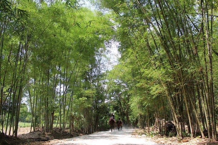 Full-Day Horseback Adventure in the Shan Hills & Inle Lake Villages photo 5