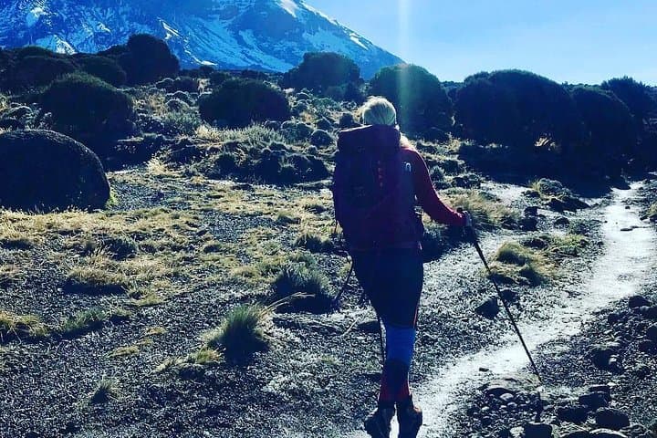 8-Day Kilimanjaro Lemosho Route: Detailed Itinerary, Tips & Gear photo 5