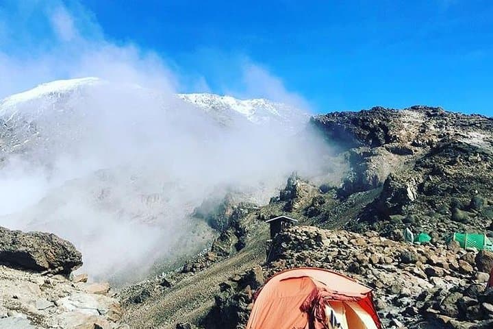 7-Day Lemosho Route Guide — Smart 7-Day Kilimanjaro Ascent via Lemosho photo 4