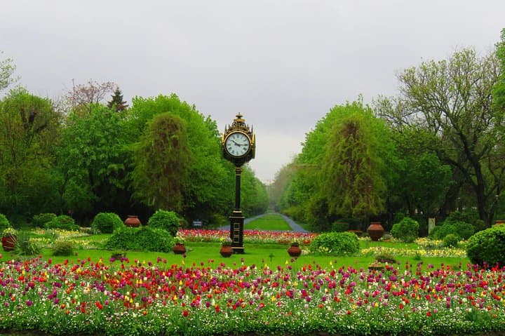 Bucharest Bike Tour: Explore Romania's Capital in 3–4 Hours