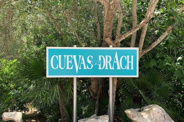 Drach Caves & Majorica Pearl Shop Half-Day Tour from Palma photo 5