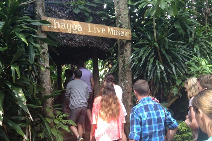 Marangu & Chagga Cultural Day Tour from Moshi — Coffee, Waterfalls & Kilimanjaro Foothills