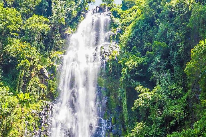 Materuni Waterfalls & Coffee Tour from Moshi — Hike, Swim & Chagga Coffee photo 2