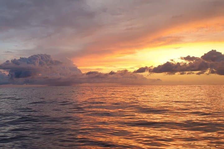 Sunrise Stand-Up Paddle in Barcelona: Dawn SUP on the Mediterranean photo 3