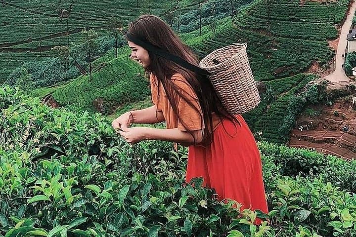 Kandy to Nuwara Eliya Day Tour: Tea Plantations, Ramboda Falls & Gregory Lake photo 1