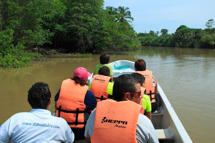 Huatulco to Mazunte and La Ventanilla Wildlife Day Trip photo 3