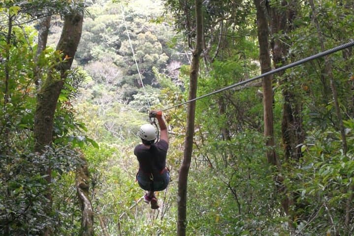 Monteverde Canopy Tour: Zipline, Rappel & Hollow-Tree Ladder Adventure photo 2