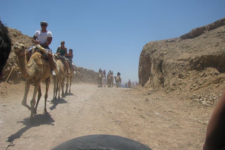 Dahab Blue Hole: Camel, Quad Bike & Snorkel Safari (Half-Day) photo 3