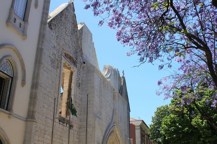 Lisbon City & River Private Tour — Santa Justa, Alfama & Tagus Views (3 hrs) photo 4