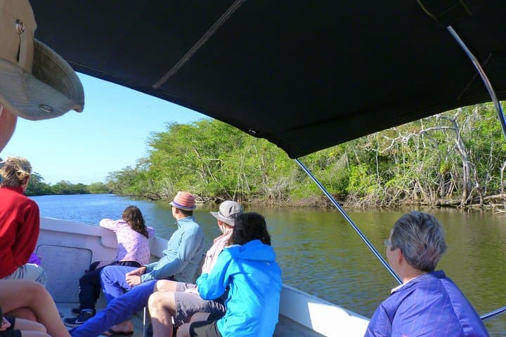 Lamanai Maya Ruins & New River Wildlife Adventure from Belize City photo 4